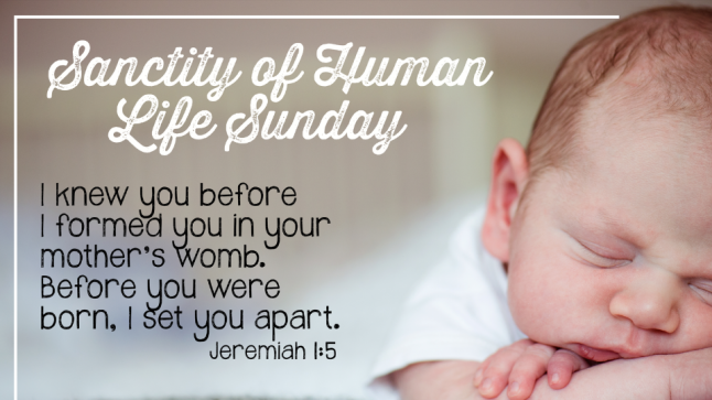 Sanctity of Human Life Sunday