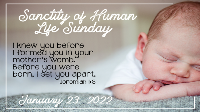 2022 Sanctity of Human Life Sunday
