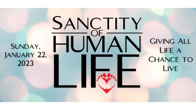 2023 Sanctity of Human Life Sunday